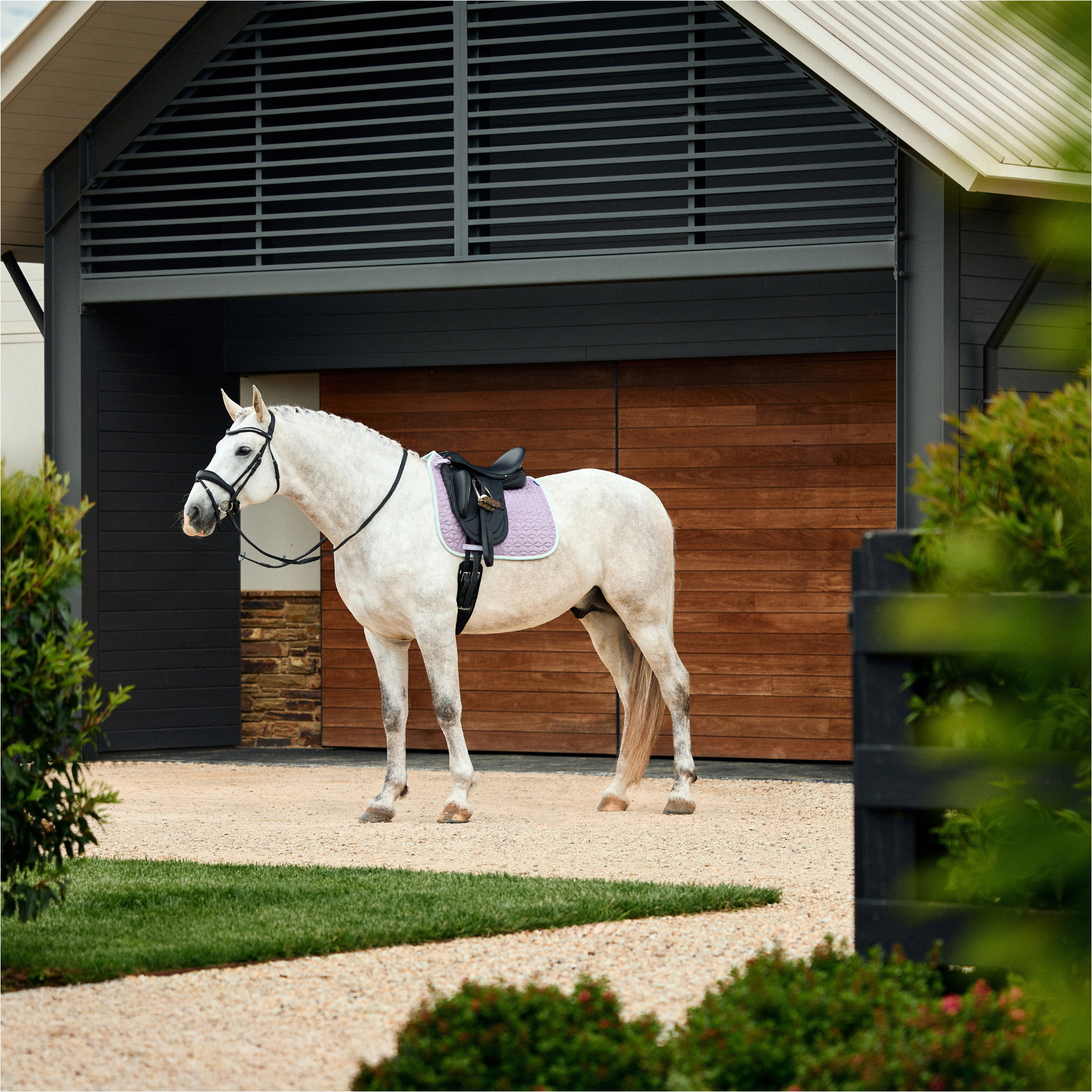 2026 WeatherBeeta Cuir Elite Air-Tec Dressage Tapis De Selle 1030346011 - Soft Lilac